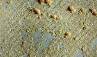 哪些操作參數(shù)的改變表示陶氏RO膜已被微生物污染？